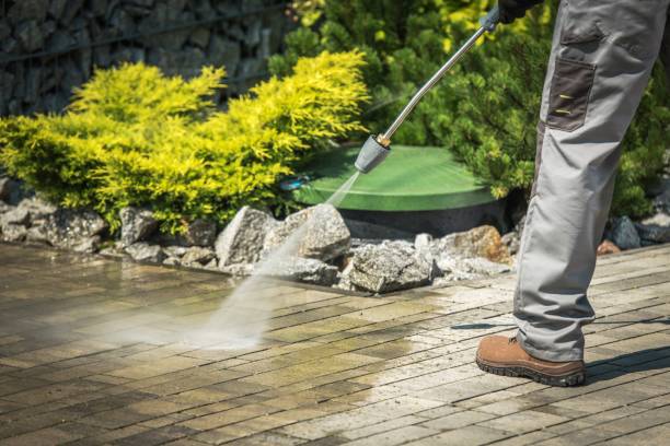 Best Roof Washing  in Evadale, TX